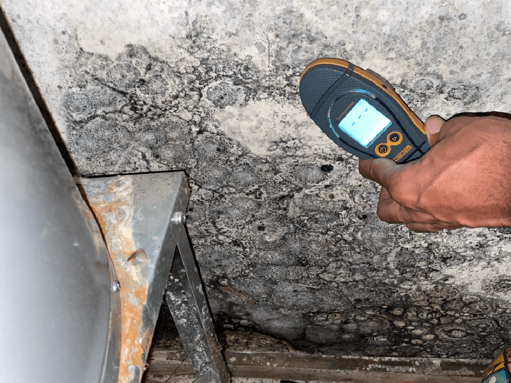 Loudoun County,Virginia Mold Inspection and Testing Services